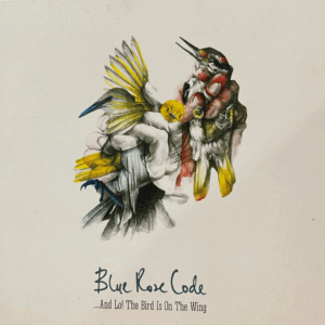 ...And lo! The Bird is on the Wing by Blue Rose Code (CD Digipak) Preowned