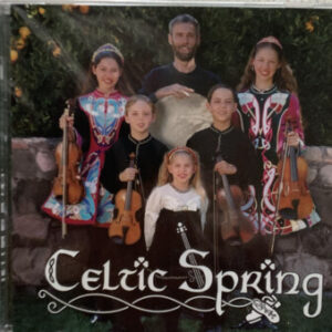 At the Source by Celtic Spring (CD) Preowned