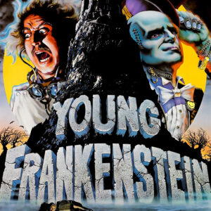 Young Frankenstein (DVD, 1974, 20th Century Fox) Preowned