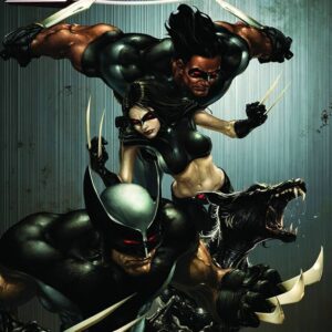 X-Force, Vol. 4 (Marvel Comics, 2008–2010)