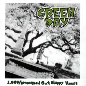 Green Day — 1,039/Smoothed Out Slappy Hours (CD, 1991, Lookout!) preowned